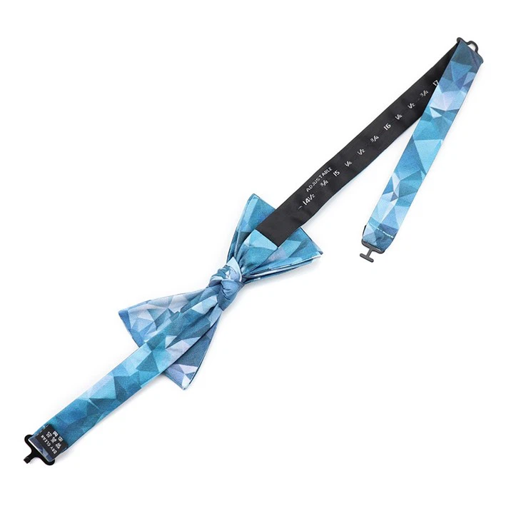 Trendy Bow Tie